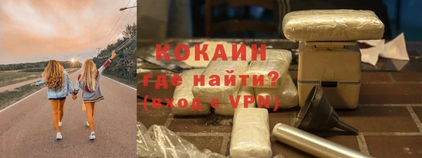стаф Новозыбков