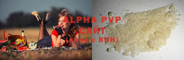 стаф Новозыбков