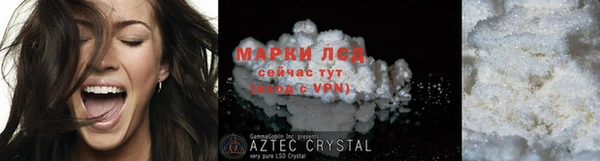 индика Новодвинск