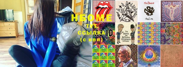 индика Новодвинск